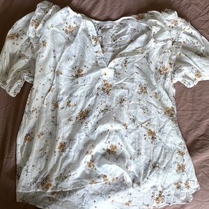 Olivaceous Sheer blouse